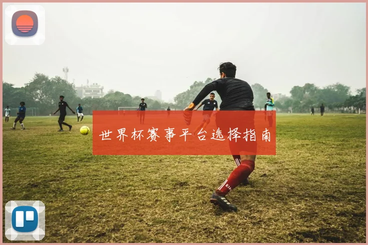 世界杯赛事平台选择指南