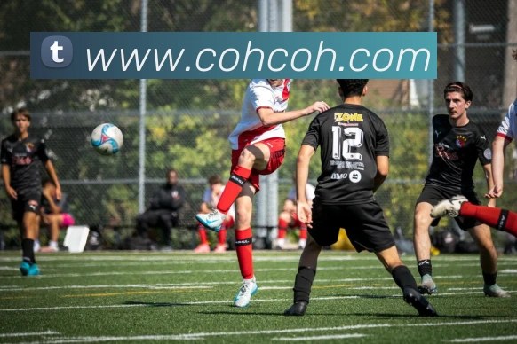 易倍emc官方平台生态图