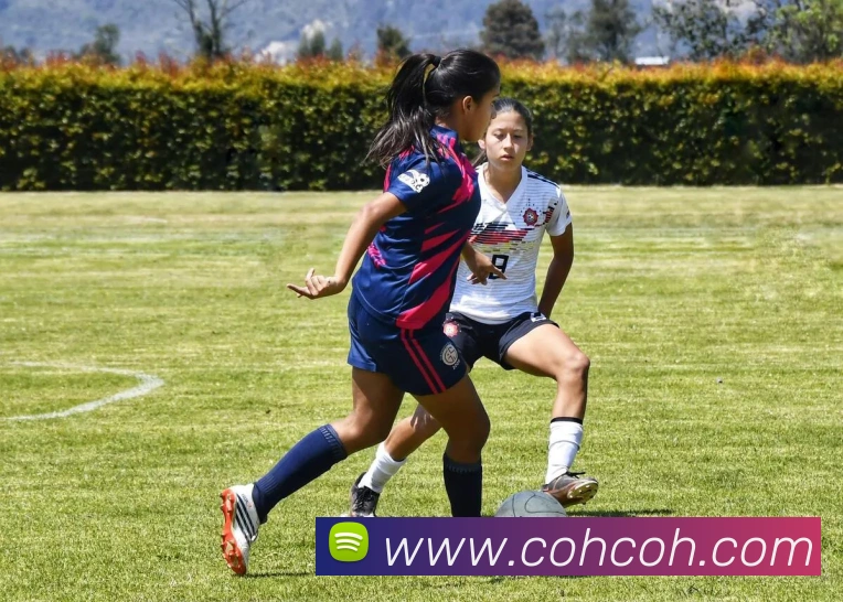 易倍emc官方全站App 易倍emc官方全站App